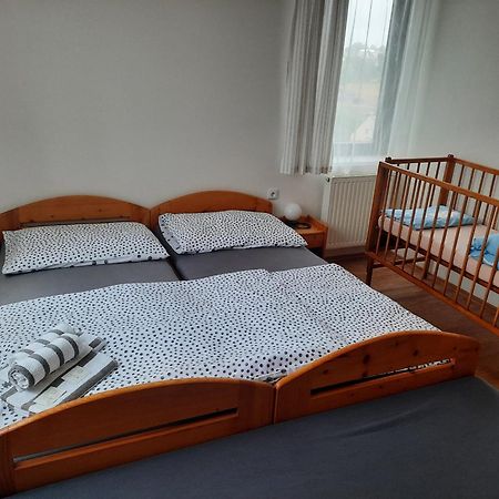 Penzion U Mnicha Vilemov  Pokoj fotografie